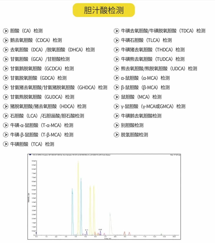 胆汁酸检测.jpg