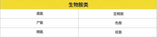 生物胺类检测.jpg