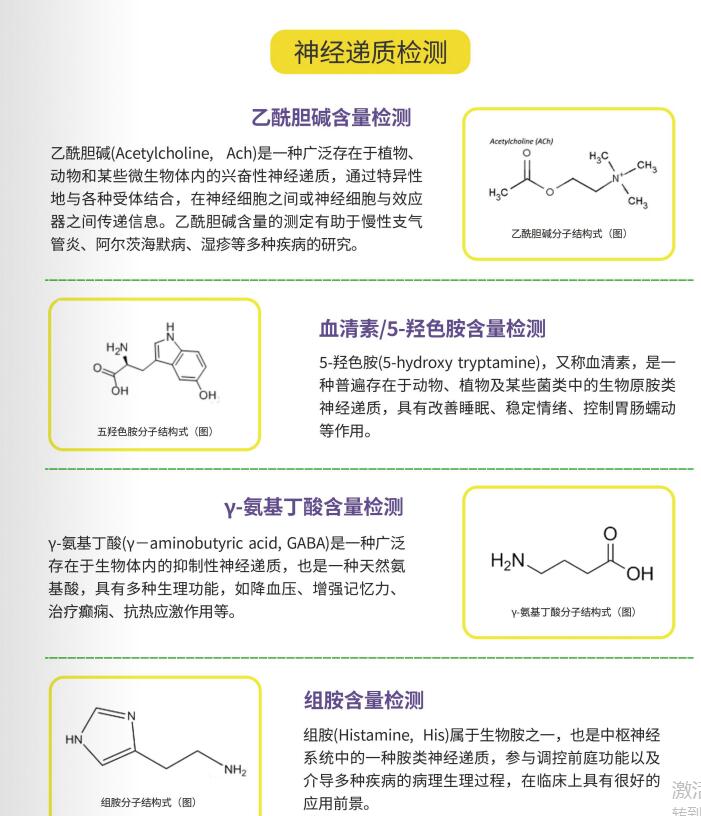 神经递质.jpg
